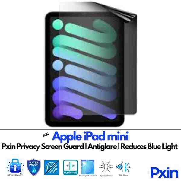 AppleiPadmini Privacy screen gurad